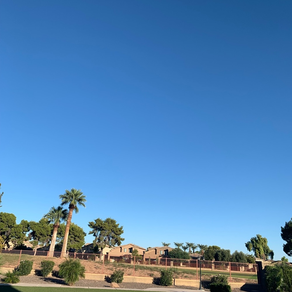 Meet your Posher, Geneva